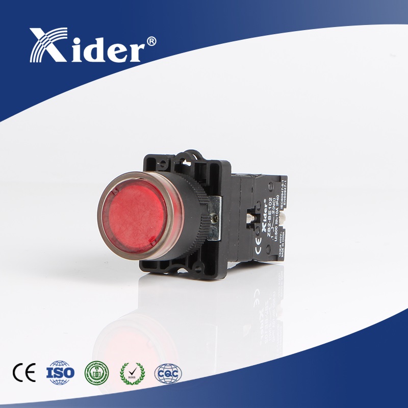 XB2-EW3462 illuminated with Neon LED push button Switch